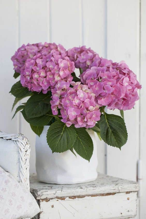 arranjos lindos de flores com hortensias 8
