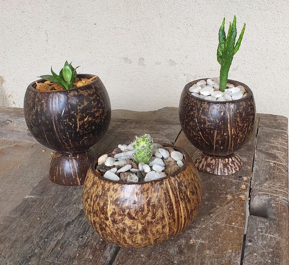 artesanato com cocos secos 4