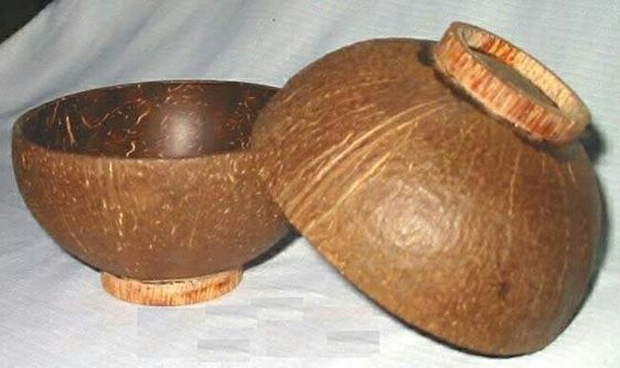 artesanato com cocos secos 5