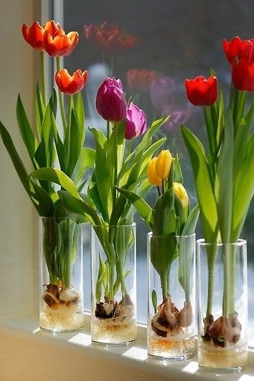 centros de mesa com tulipas 2