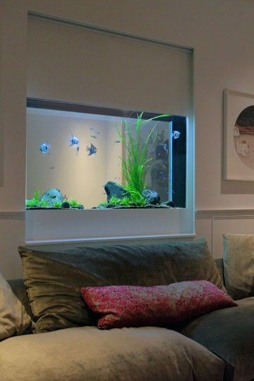 decoracao casa aquario embutidos