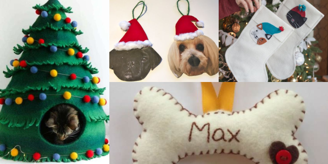 Natal Pet- Porque os nossos amigos de quatro patas também merecem ideias natal pet