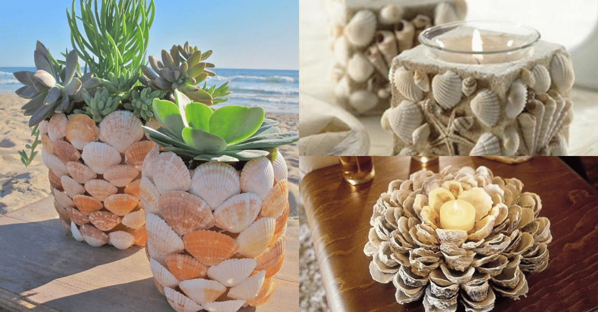 ideias para decorar com conchas do mar