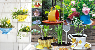 ideias para decorar o jardim com utensilios de cozinha