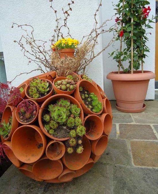 vaso de plantas com mini vasos 2