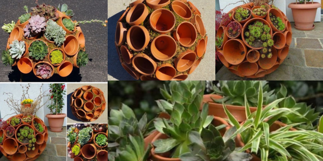 vaso de plantas com mini vasos